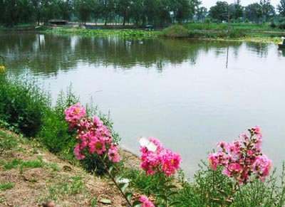 山西省河津市
