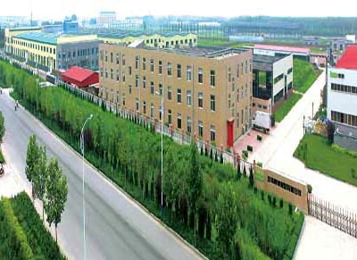 山东齐河县
