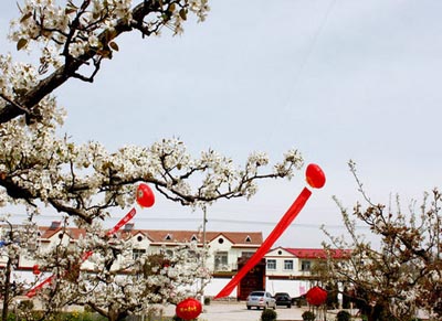 河北省魏县