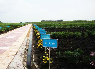 黑龙江铁力市