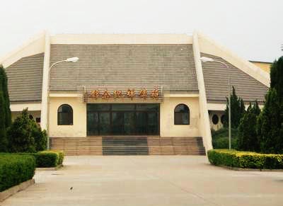 山东省齐河县赵官镇