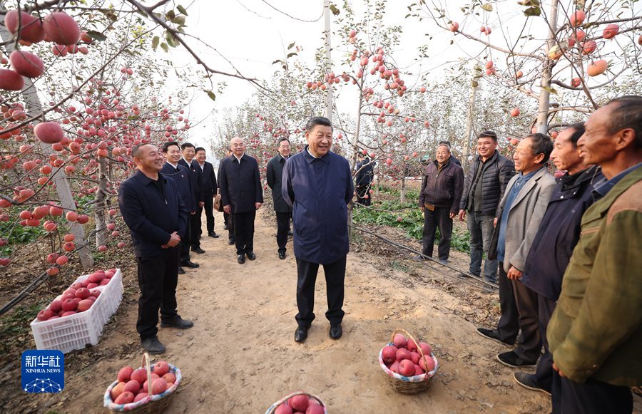 习近平在陕西延安和河南安阳考察时强调 全面推进乡村振兴 为实现农业农村现代化而不懈奋